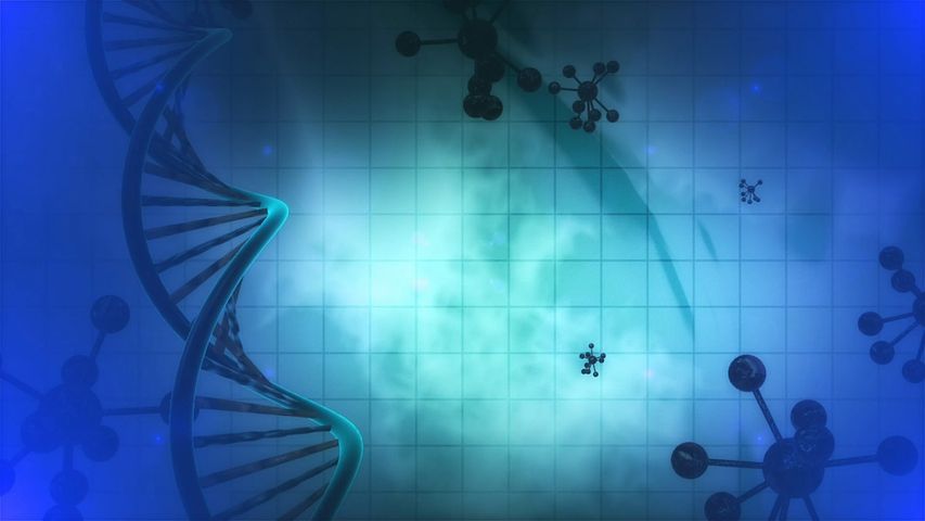 創薬研究のスクリーニング方法: DNA Encoded Libraryとハイスループットスクリーニング
