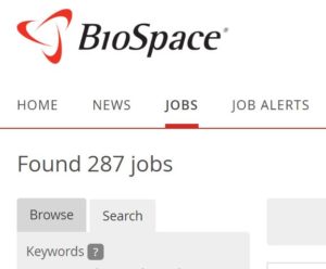 MS number of jobs in indeed